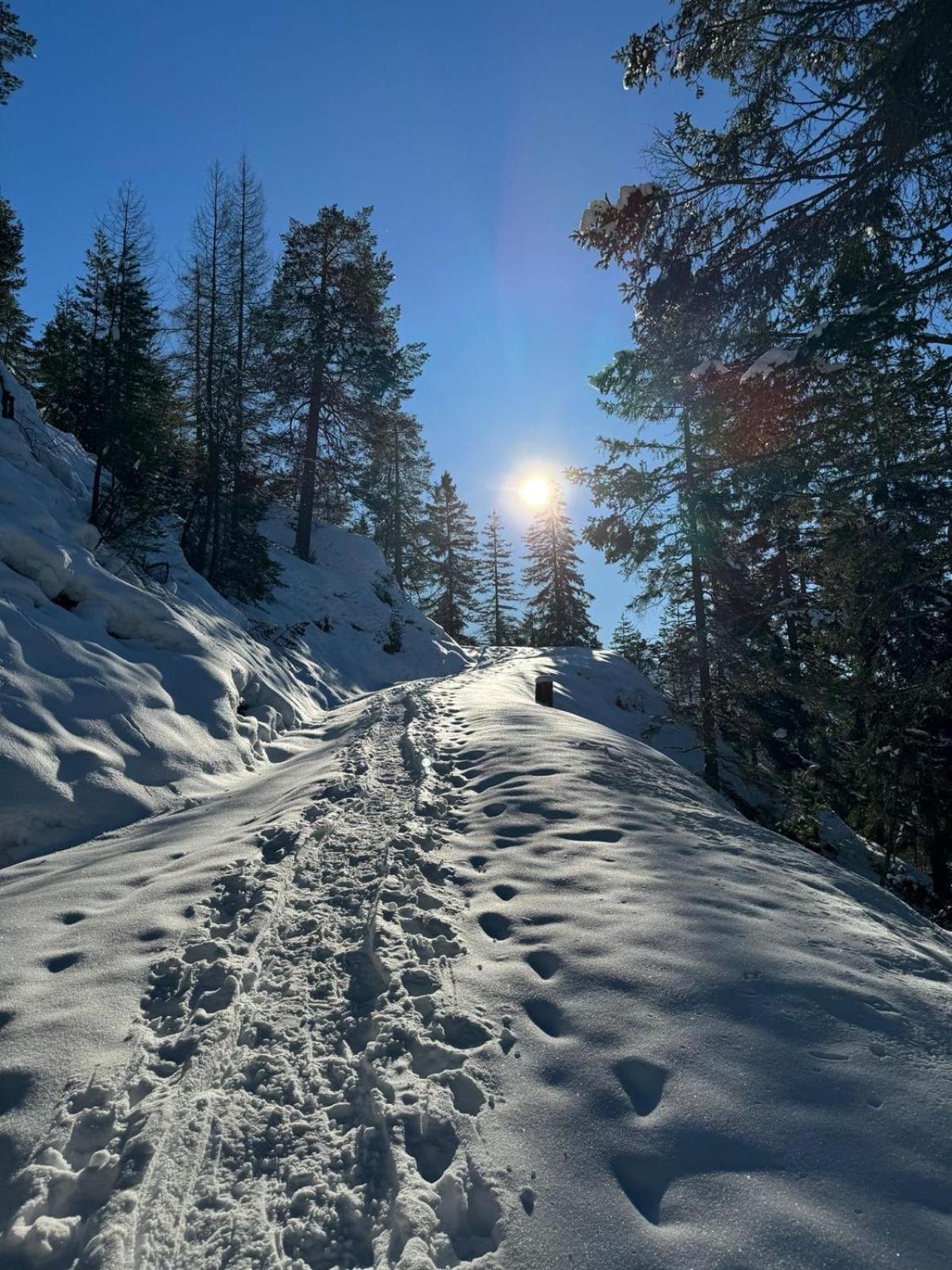 Alpenlandhaus Menardi Зефельд-ін-Тіроль Екстер'єр фото